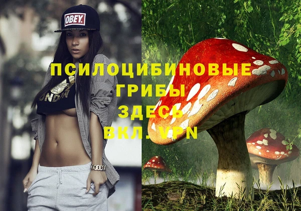 прущая мука Богданович