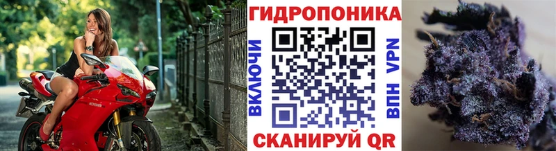 ссылка на мегу ссылки  Донской  Конопля THC 21% 